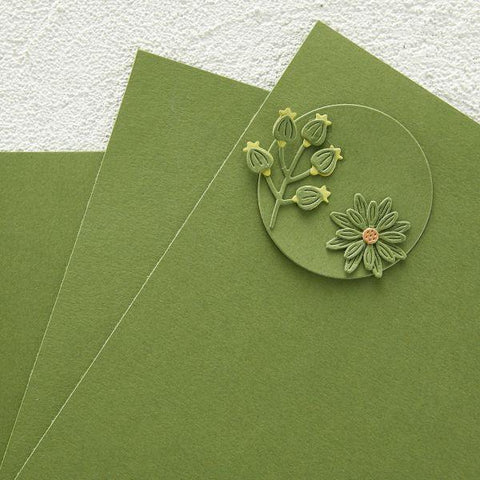 Color Essentials Cardstock - Fern