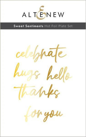 Sweet Sentiment Hot Foil Plate