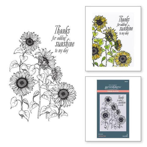 Serenade of Autumn Collection - Sunflower Field Press Plate