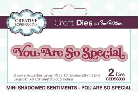 Mini Shadowed Sentiments - You Are So Special