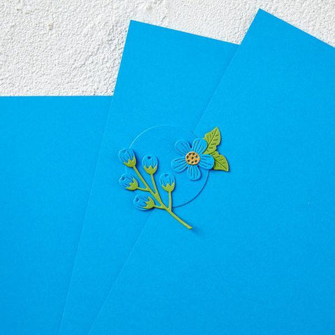 Color Essentials Cardstock - Splash