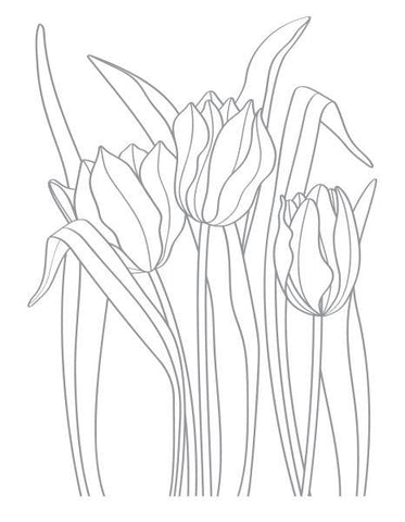 Tulips Impress-ion Letterpress Press Plate