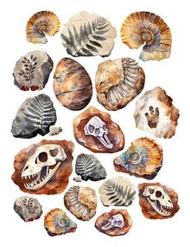 Stone Age - Ephemera - Fossils