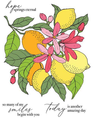 Fruit Tree - Clear Stamps