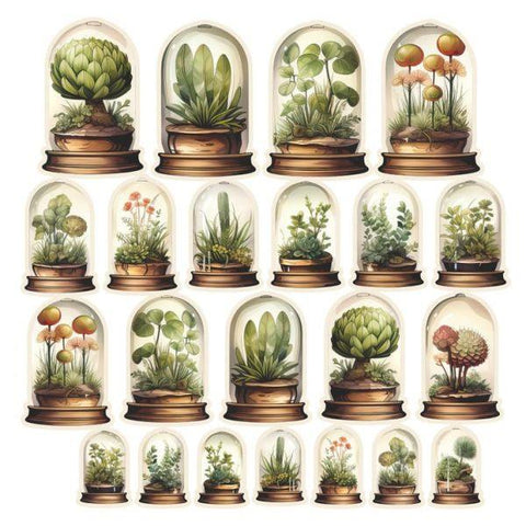 Floral Academia - Ephemera - Terrariums