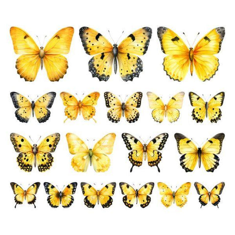 Sweet Like Sunshine - Ephemera - Butterflies