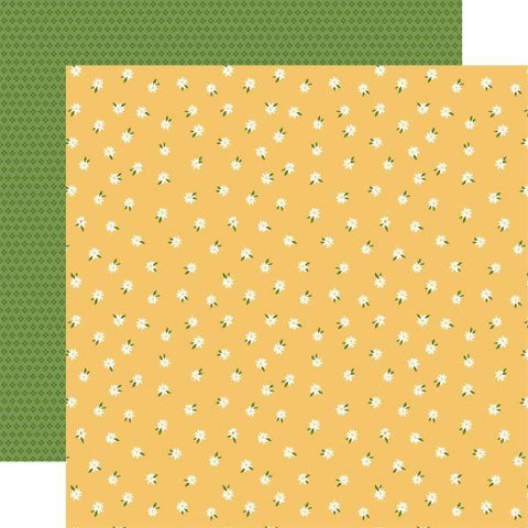 Winnie the Pooh Baby - Oh Baby Daisies