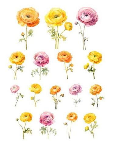 Sweet Summer Florals - Ephemera - Flowers