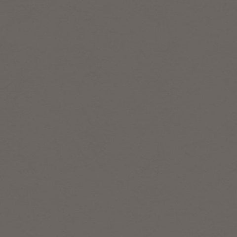 Canvas Cardstock - Phantom Grey