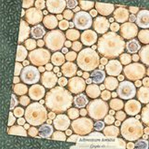 Adventure Awaits - Tree Rings