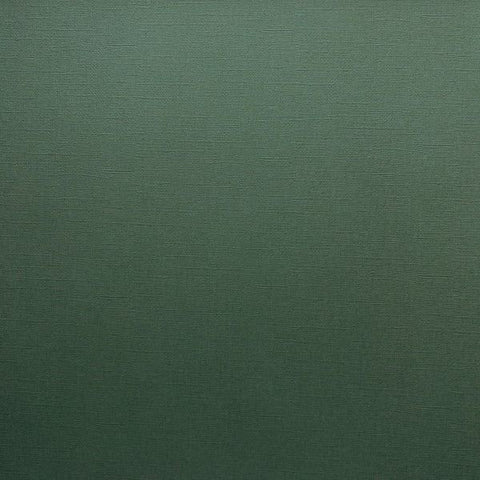 Canvas Texture Cardstock - Aspen Green
