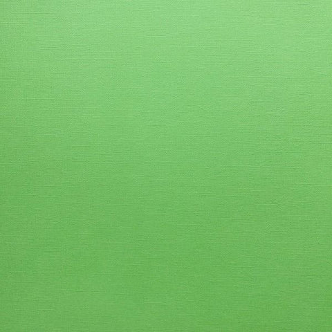 Canvas Texture Cardstock - Cabbage