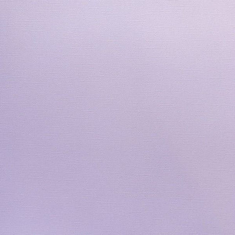 Canvas Texture Cardstock - Morning Glory