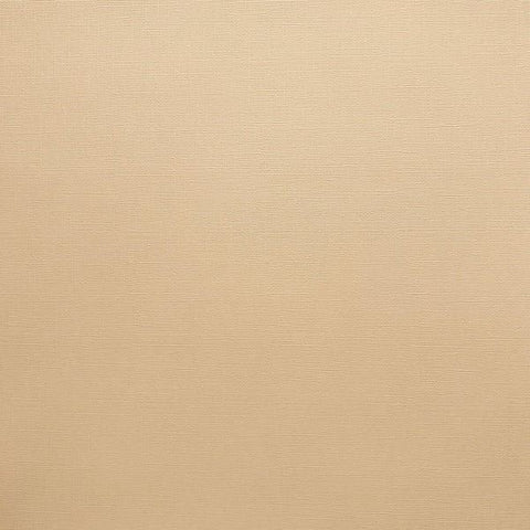 Canvas Texture Cardstock - Light Almond