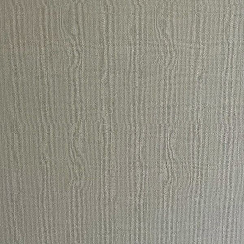 Canvas Texture Cardstock - Putty Gray