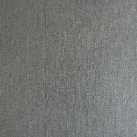 Canvas Texture Cardstock - Tin Man