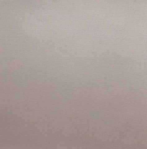 Canvas Texture Cardstock - Rainy Day