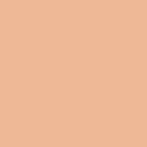 Classic Cardstock - Peach