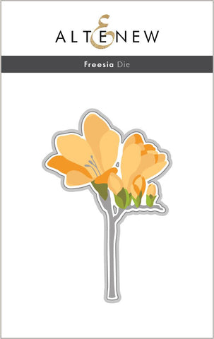 Freesia - Die