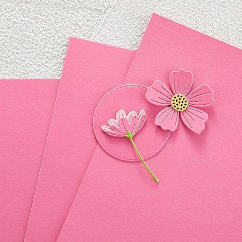 Color Essentials Cardstock - Fruit Punch