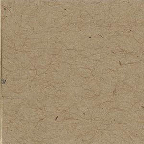 Classic Cardstock - Kraft