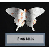 Mega Flake - Eton Mess